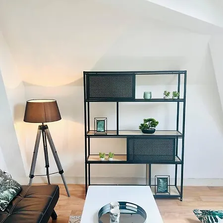 Le Petit Cocon Urbain - T2 En Hypercentre Poitiers